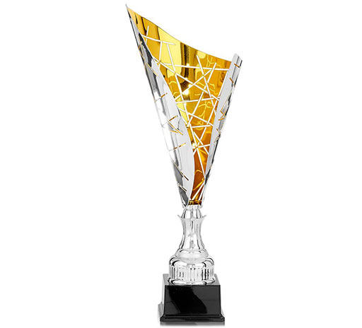 Récompenses sportives coupe à Vienne