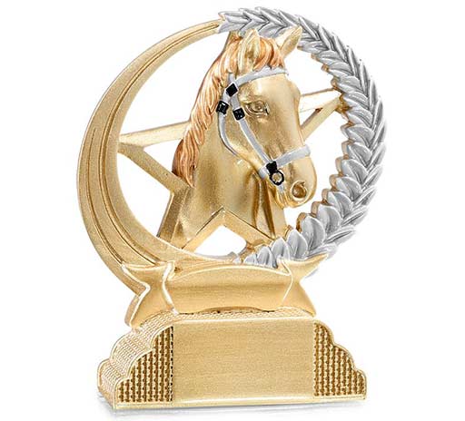 Récompenses sportives équitation à Vienne et Estrablin
