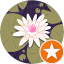 Emily Mach / Riva profile picture