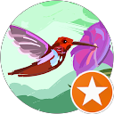 Emily Mach / Riva profile picture